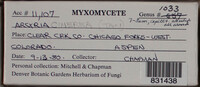 Image Associated With the Occurence